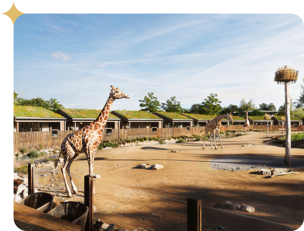 Chester-Zoo-Reserve-Launch-Gold79 (Medium)